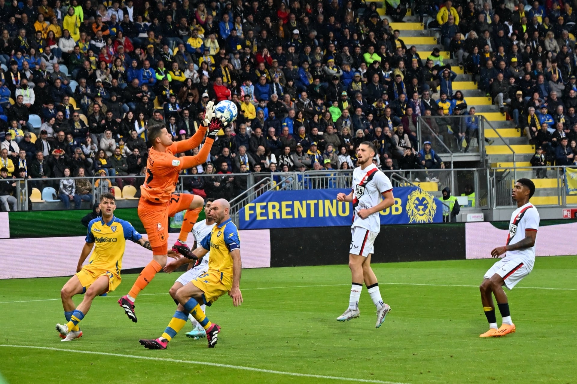 Radu Drăgușin la Tottenham Hotspur
