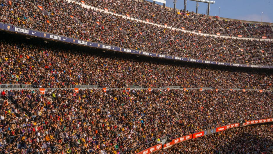 FCSB fotbal sigla