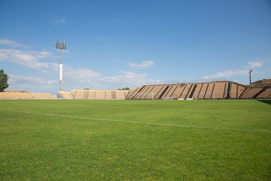 Andrei Coubiș la Universitatea Cluj