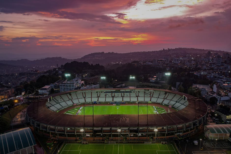 Belgia Senegal Cupa Mondiala 2026
