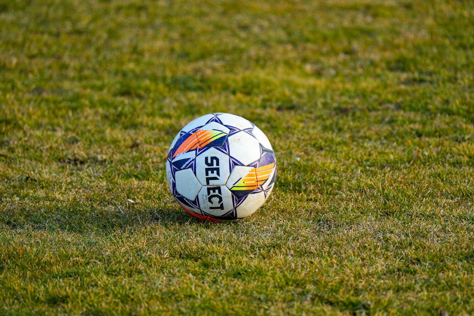 Lisav Eissat transfer Bristol City Anglia